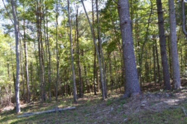 688 Boone Ridge Rd, Jamestown, TN 38556