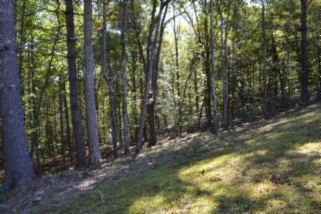 688 Boone Ridge Rd, Jamestown, TN 38556