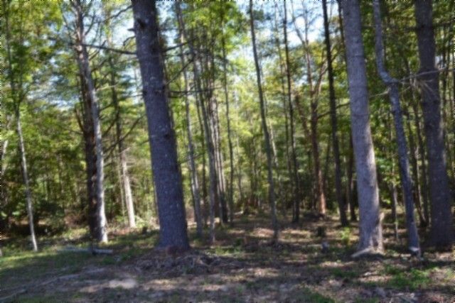 688 Boone Ridge Rd, Jamestown, TN 38556