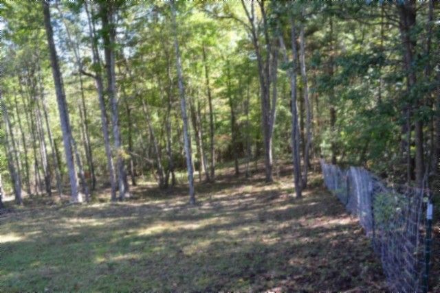 688 Boone Ridge Rd, Jamestown, TN 38556