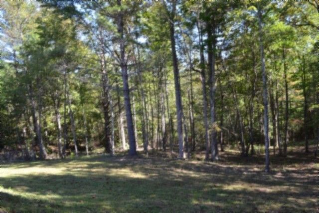 688 Boone Ridge Rd, Jamestown, TN 38556