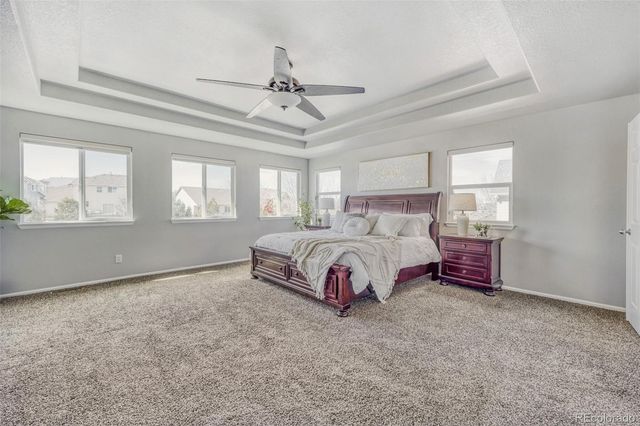 2611 Cache Creek Court, Castle Rock, CO 80108