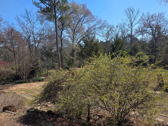 19502 FM 14, Lindale, TX 75771
