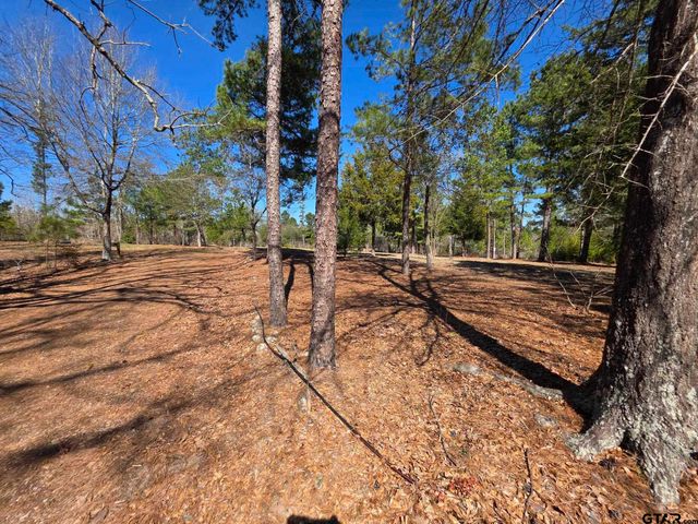 19502 FM 14, Lindale, TX 75771