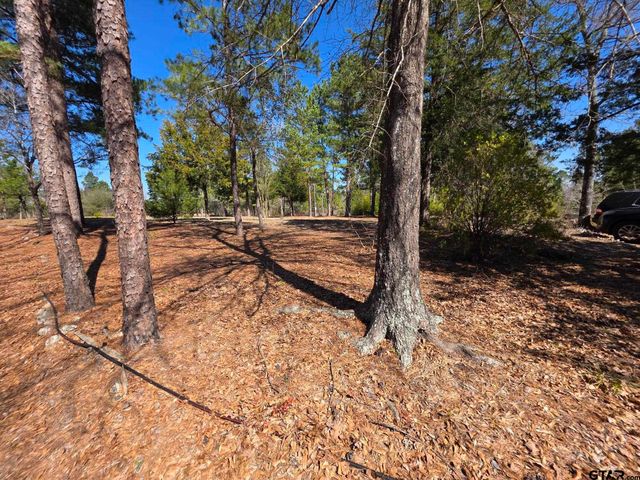 19502 FM 14, Lindale, TX 75771