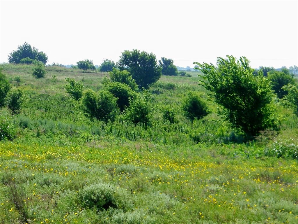 Image 20 of property listing at County Street 2700, Cyril, OK 73029