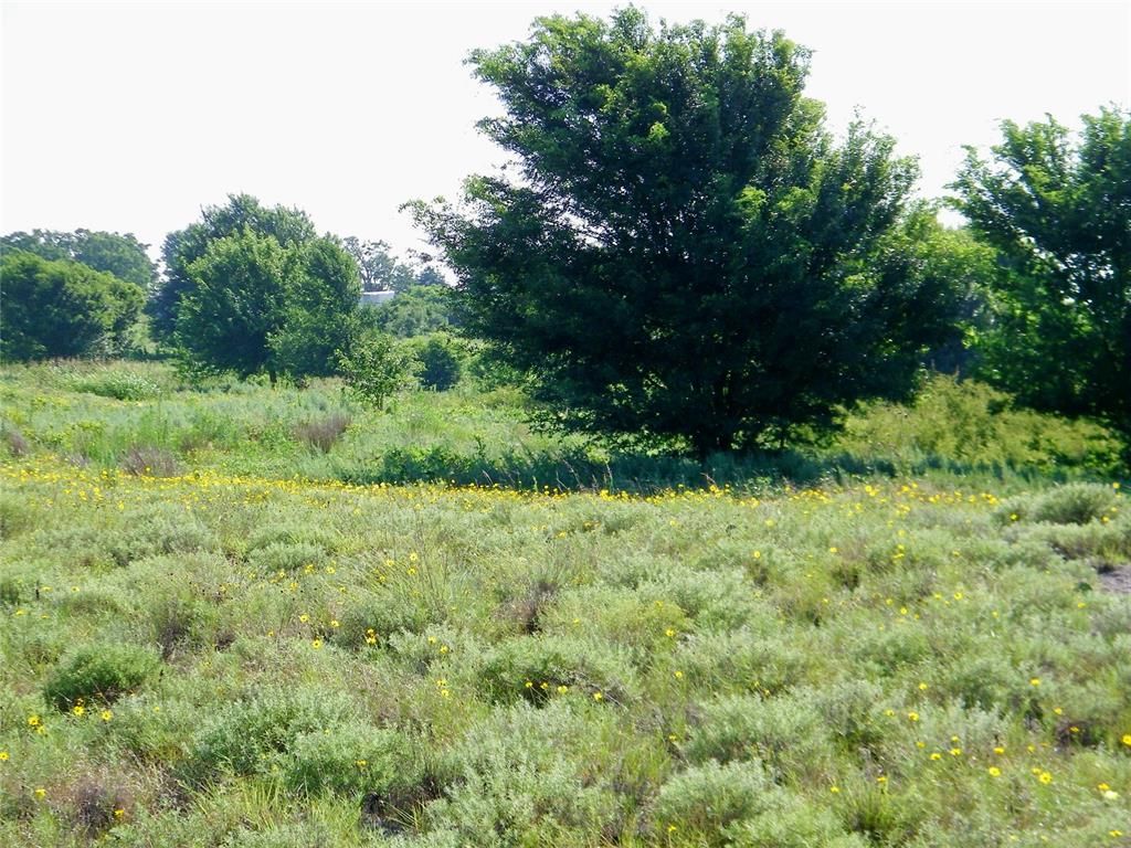 Image 25 of property listing at County Street 2700, Cyril, OK 73029