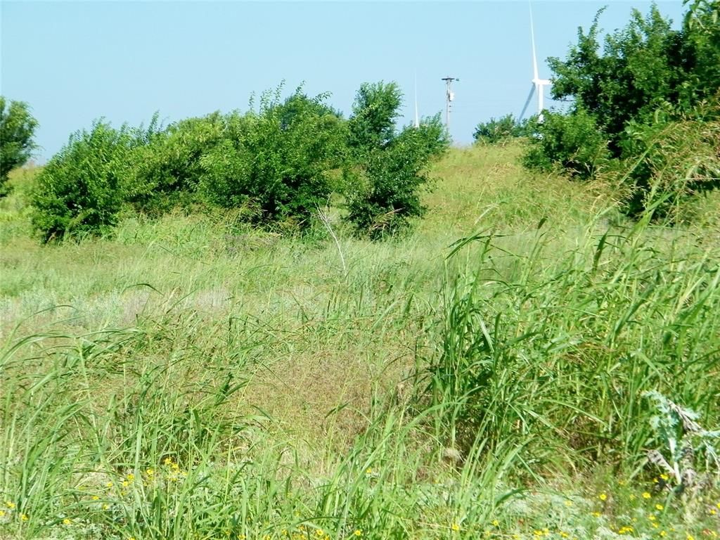 Image 44 of property listing at County Street 2700, Cyril, OK 73029