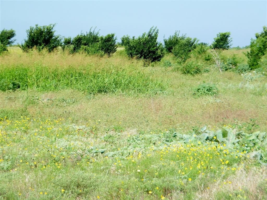 Image 46 of property listing at County Street 2700, Cyril, OK 73029