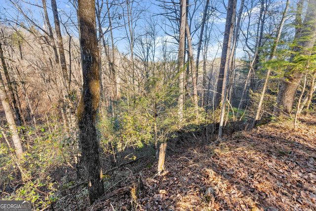 0 River View Lots 12 & 13 Trail W, Dahlonega, GA 30533