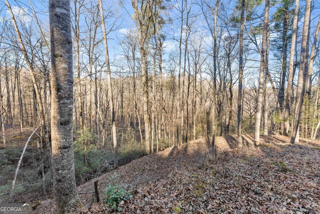 0 River View Lots 12 & 13 Trail W, Dahlonega, GA 30533