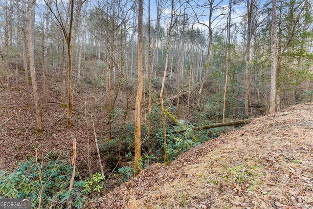 0 River View Lots 12 & 13 Trail W, Dahlonega, GA 30533