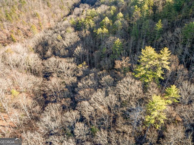 0 River View Lots 12 & 13 Trail W, Dahlonega, GA 30533