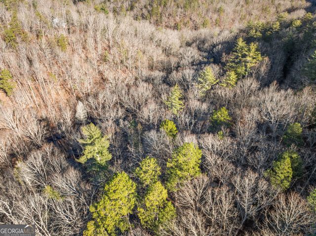 0 River View Lots 12 & 13 Trail W, Dahlonega, GA 30533