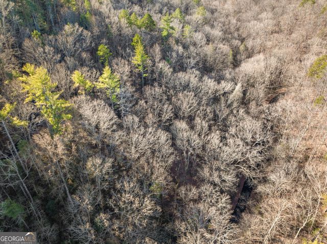 0 River View Lots 12 & 13 Trail W, Dahlonega, GA 30533