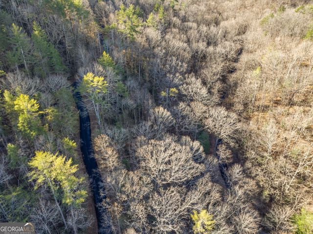 0 River View Lots 12 & 13 Trail W, Dahlonega, GA 30533