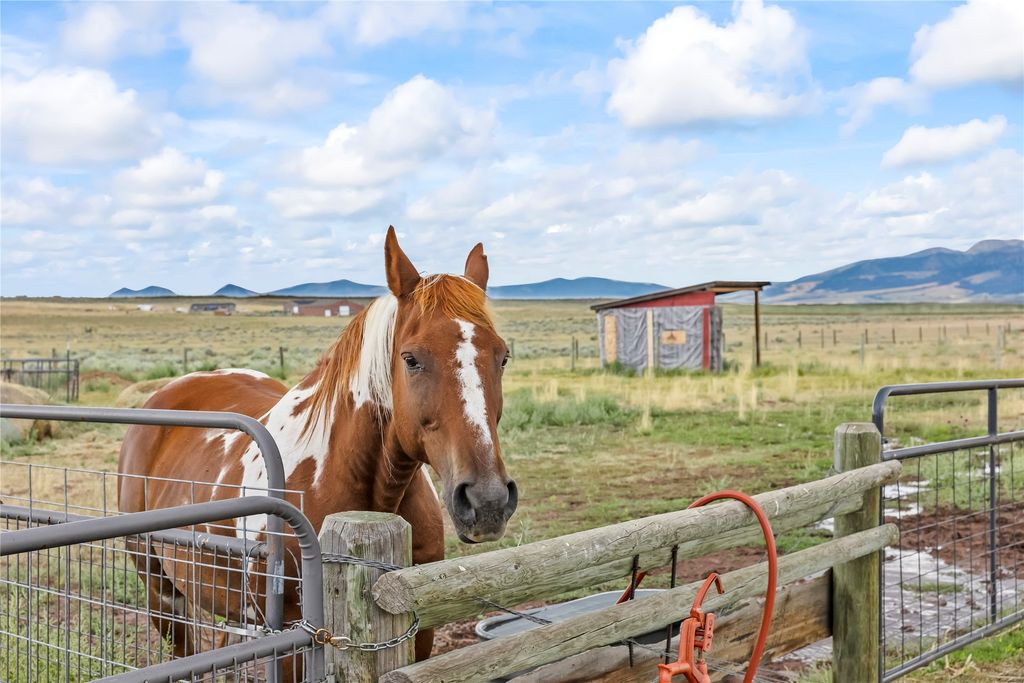 NHN Great Escape Road, Wilsall, MT 59086 photo 86