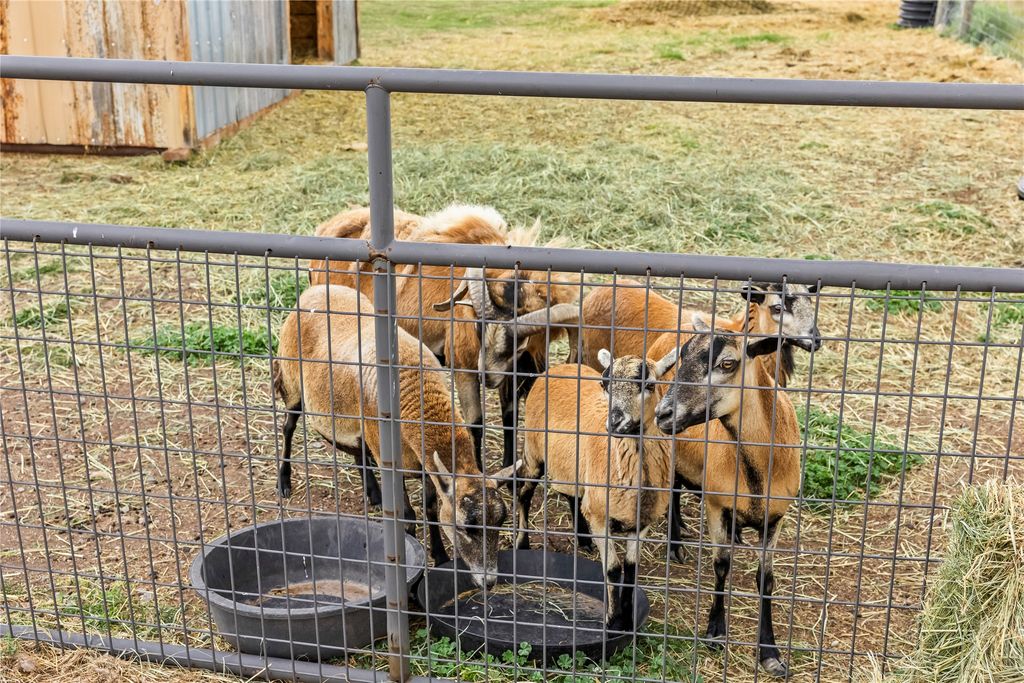 NHN Great Escape Road, Wilsall, MT 59086 photo 87