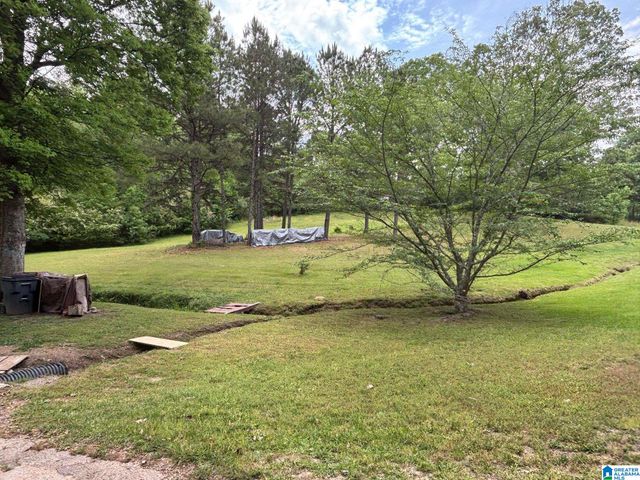 242 SKYLINE CIRCLE, Jasper, AL 35501