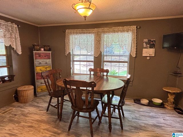 242 SKYLINE CIRCLE, Jasper, AL 35501