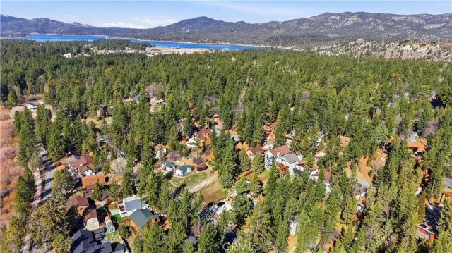 42672 Cougar Road, Big Bear Lake, CA 92315