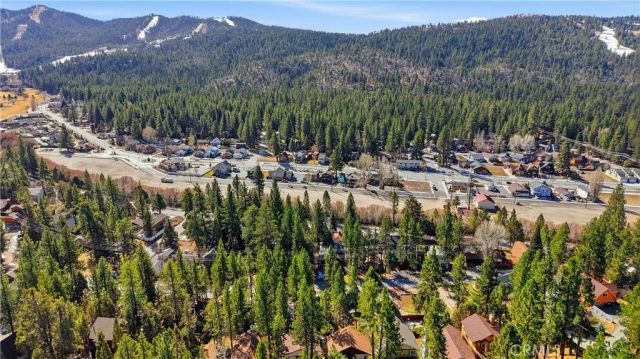 42672 Cougar Road, Big Bear Lake, CA 92315