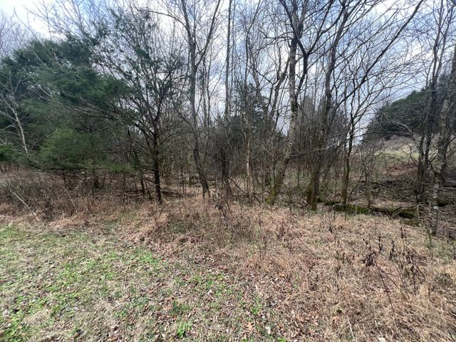 3281 Statesville Rd, Watertown, TN 37184