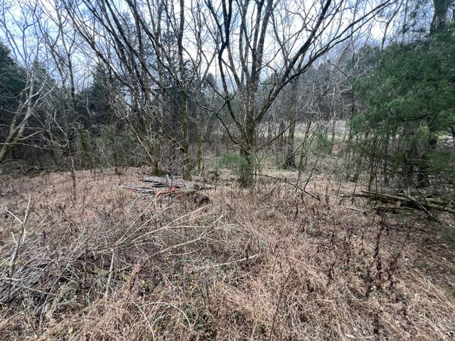 3281 Statesville Rd, Watertown, TN 37184