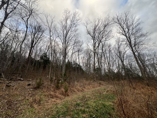 3281 Statesville Rd, Watertown, TN 37184