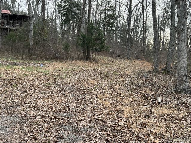 3281 Statesville Rd, Watertown, TN 37184