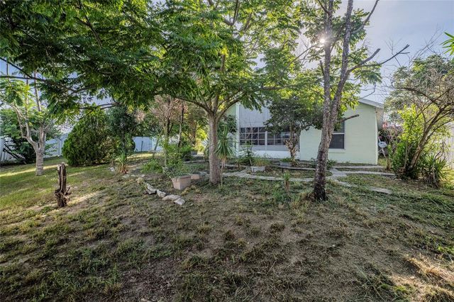 611 CHINA BERRY CIRCLE, Davenport, FL 33837