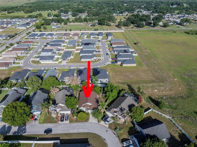 611 CHINA BERRY CIRCLE, Davenport, FL 33837
