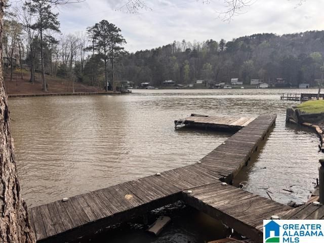 173 SLOUGHSIDE DRIVE, Adger, AL 35006