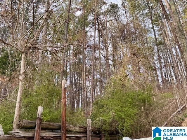 173 SLOUGHSIDE DRIVE, Adger, AL 35006
