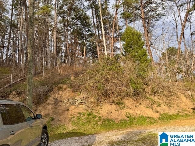 173 SLOUGHSIDE DRIVE, Adger, AL 35006