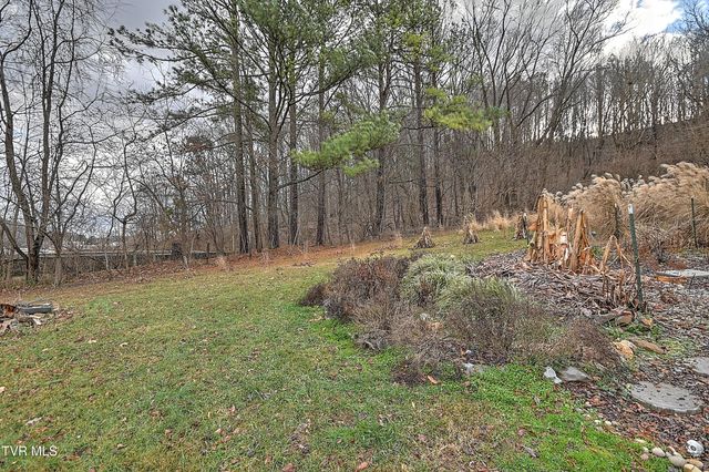 241 & 235 Shipley Ferry Road, Blountville, TN 37617