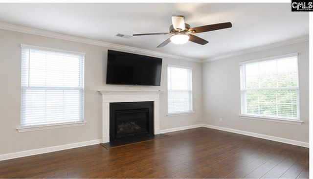 425 Maria Posada Court, Chapin, SC 29036