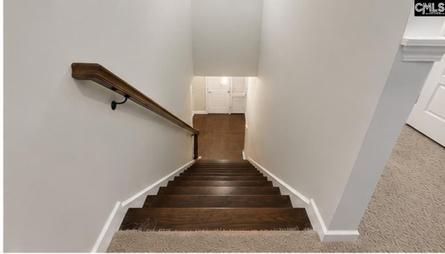 425 Maria Posada Court, Chapin, SC 29036