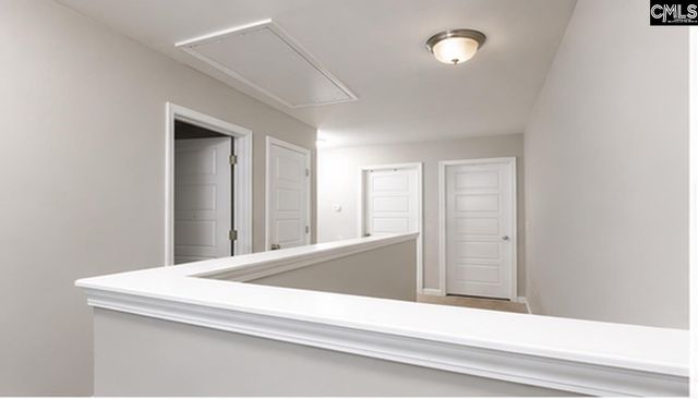 425 Maria Posada Court, Chapin, SC 29036