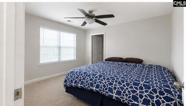 425 Maria Posada Court, Chapin, SC 29036