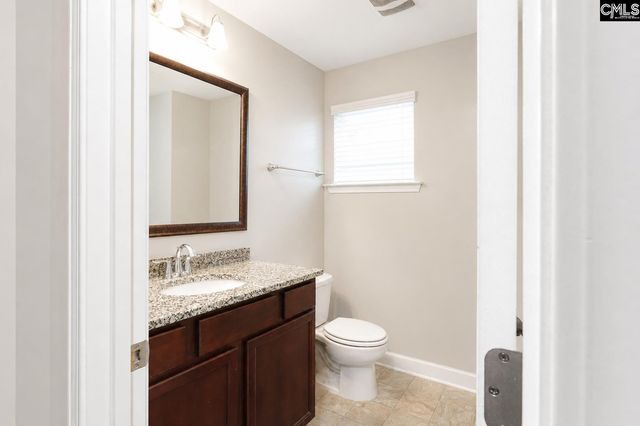 425 Maria Posada Court, Chapin, SC 29036