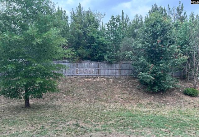 425 Maria Posada Court, Chapin, SC 29036