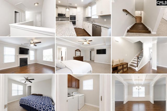 425 Maria Posada Court, Chapin, SC 29036
