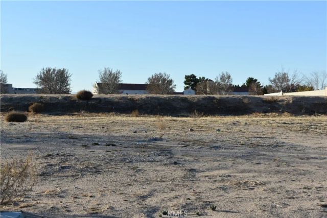 27231 Peach Tree, Helendale, CA 92342