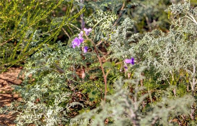 1 Decker Canyon Road, Rancho Mission Viejo, CA 92530