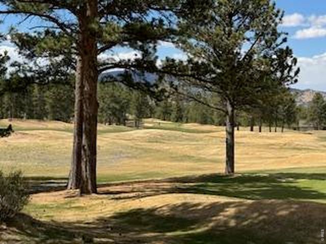 2215 Fox Acres Dr E, Red Feather Lakes, CO 80545