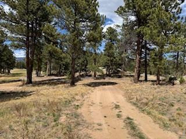 2215 Fox Acres Dr E, Red Feather Lakes, CO 80545