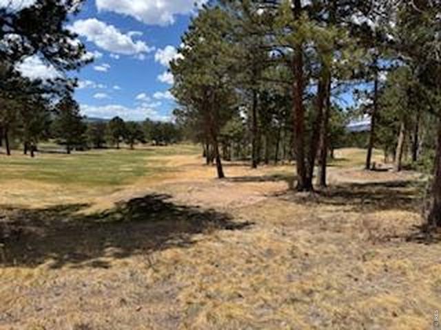 2215 Fox Acres Dr E, Red Feather Lakes, CO 80545