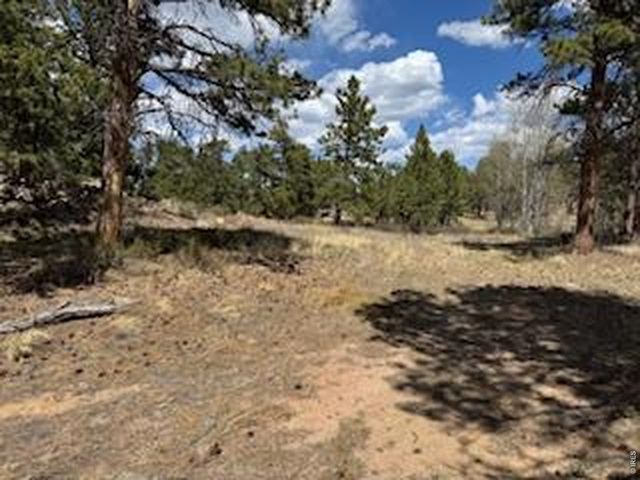 2215 Fox Acres Dr E, Red Feather Lakes, CO 80545