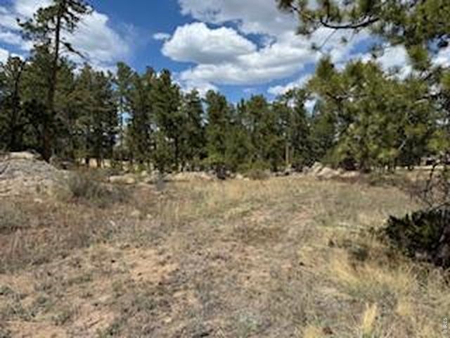 2215 Fox Acres Dr E, Red Feather Lakes, CO 80545